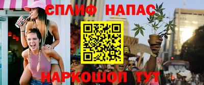 дурь Славгород