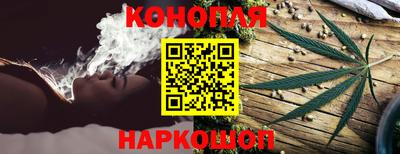 дурь Славгород