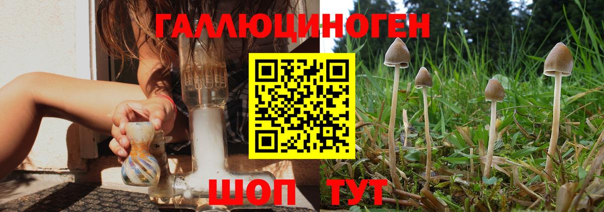 Псилоцибиновые грибы мухоморы  Вход с VPN  дарнет шоп  Галлюциногенные грибы мицелий  Северск 